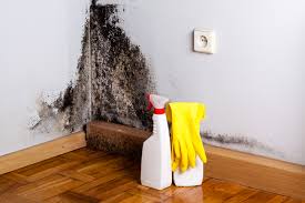 West Columbia, TX Mold Remediation Company